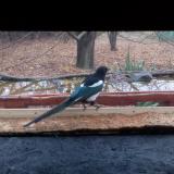 photo 2021-11-22 08-54-00