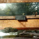 photo 2023-10-24 08-52-33