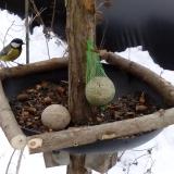 photo 2019-01-12 11-19-58