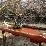 photo 2021-03-21 08-16-56