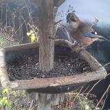 photo 2019-12-25 09-01-58