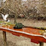 photo 2021-03-25 11-12-12