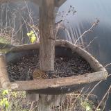 photo 2019-12-25 10-41-31