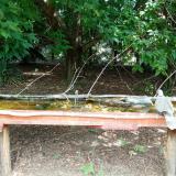 photo 2021-08-08 12-35-05