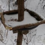 photo 2019-01-05 10-44-42