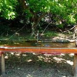 photo 2021-05-08 11-15-50