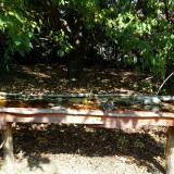 photo 2021-10-02 11-46-41