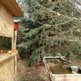 photo 2021-12-26 11-48-03