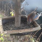 photo 2019-12-25 09-23-45