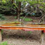 photo 2021-04-19 12-49-06