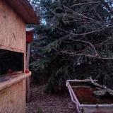 photo 2022-01-05 07-20-20