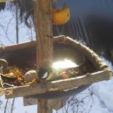 photo 2019-01-27 10-05-19