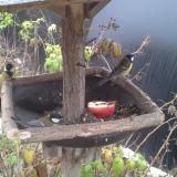 photo 2019-12-06 10-01-41