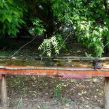 photo 2021-05-25 10-34-58