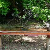 photo 2021-05-15 10-49-18