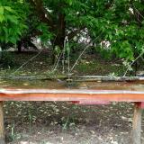 photo 2021-05-15 13-42-07