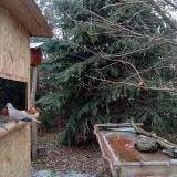 photo 2021-12-27 12-19-16