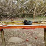 photo 2021-03-12 15-10-37