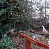 photo 2021-11-15 07-25-14