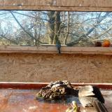 photo 2022-01-23 14-17-42