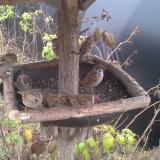 photo 2019-12-12 11-11-57