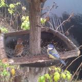 photo 2019-12-14 10-48-42