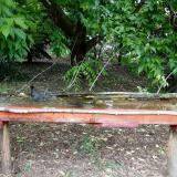 photo 2021-05-24 13-16-26