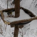 photo 2019-01-05 10-40-13