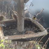 photo 2019-12-25 09-33-49