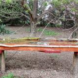 photo 2021-04-12 17-34-41