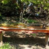 photo 2021-04-24 12-22-19