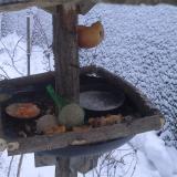 photo 2019-01-25 07-26-55