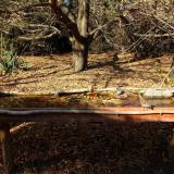 photo 2021-10-25 14-25-02