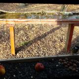 photo 2021-11-03 14-34-22