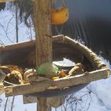 photo 2019-01-27 09-53-19