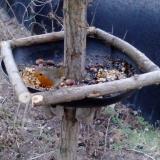 photo 2019-01-04 07-27-10