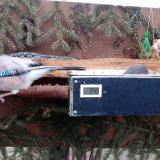 photo 2021-02-21 07-18-20