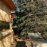 photo 2022-01-12 11-46-59