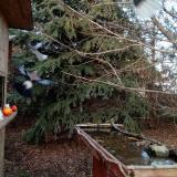 photo 2021-12-14 14-26-20