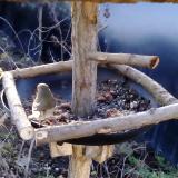 photo 2019-01-02 08-34-46