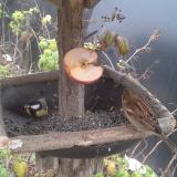 photo 2019-12-05 10-56-22