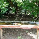 photo 2021-08-03 09-02-40