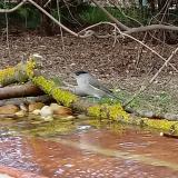 photo 2021-04-01 16-47-52 poszata