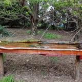 photo 2021-04-19 17-20-10