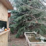 photo 2021-12-26 13-30-17