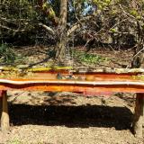 photo 2021-04-10 12-01-23