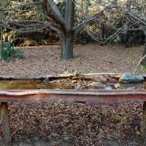 photo 2021-10-25 16-21-58