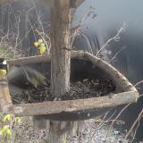 photo 2019-12-28 13-47-59