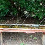 photo 2021-08-12 13-26-00