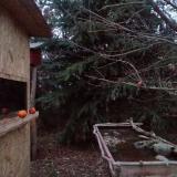 photo 2021-12-26 16-12-12